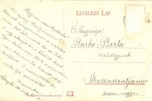 Sztropkó, Stropkov; Gróf Huszár Rákóczi korabeli kastélya / castle (Rb)