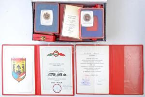 ~1970-1980. Nagy doboznyi szocialista érdemérem és kitüntetés, közte "Kiváló Dolgozó", "Szocialista Brigád" kitüntetés, valamint a tételben viselői igazolvány és 2db adományozói okirat T:vegyes