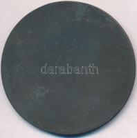 1959. "A Szakszervezeti Üdültetés 10-ik évfordulójára" fém emlékérem, eredeti tokban (60mm...