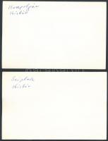 Kisbér, lovak, 2 db fotó, hátuljukon feliratozva, 9×14 cm