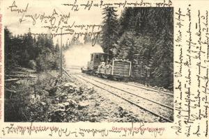 Gyulafalva, Kommandó, Comandau; A vonat beérkezése, Horn Bódog amateur felvétele, Klein Armin kiadása / arriving train