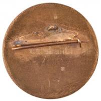 1970. "40 év A Magyar Zenekultúra Szolgálatában" aranyozott, zománcozott fém jelvény (30mm...