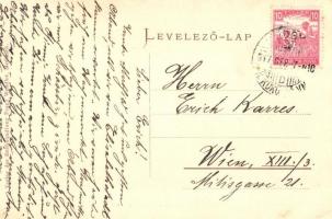 Medgyes, Mediasch; Lövölde / Schützenhäuschen in den Tannen, Verlag Franz Wendler / shooting hall (E...