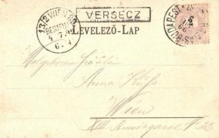1899 Versec, Werschetz, Vrsac; látkép kerékpáros férfivel / general view with bicycle man, Art. Anst...