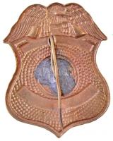 DN Biztonsági őr fém jelvény forrasztott tűvel (25x32mm) T:2 enyhén hajlott