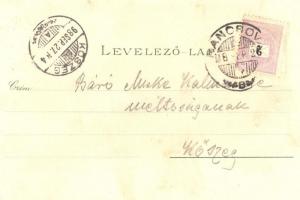 1898 Pancsova, Pancevo; 175-ös számú uszály a Dunán, kiadja Kohn Samu / barge on the Danube, floral,...