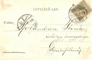 Nagyszombat, Trnava; Orsolyák zárdája, Nagy Lajos utca, Manheim Jakob és Milchspeiser Lázár üzlete /...