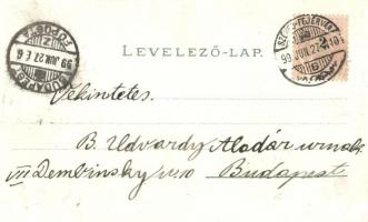 1899 Székesfehérvár, Nádor utca, Café Elite kávéház, szőlő. Kaufman F. kiadása. Art Nouveau, floral,...