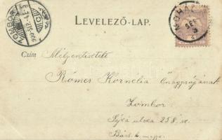 1900 Mohács, Duna Gőzhajózási Társaság (DDSG) állomása, létra, hajóállomás. Kiadja Weiser Miksa