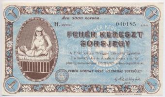 Budapest ~1926. "Fehér Kereszt sorsjegy" 5000K értékben, a Fehér Kereszt Országos Lelencház Egyesület Gyermekkórháza és Árvaháza javára, "H" sorozat T:I,I-