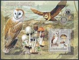 Owls and mushrooms block, Baglyok és gombák blokk
