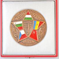 1979. "Pajzs 1979" festett fegyverbaráti Br plakett dísztokban (87mm) T:1