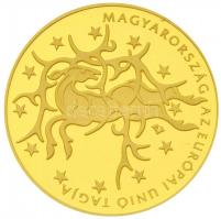 2004. 50.000Ft Au "Magyarország az Európai Unió tagja" (14,1g/0.986) T:1 (PP)
Hungary 200...