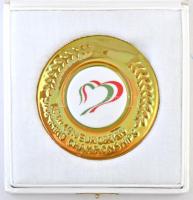 2010. "30. Úszó-Európa-Bajnokság" eozin mázas Zsolnay porcelán emlékplakett, eredeti tokban (88mm) T:1