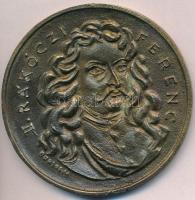 Borsos Miklós (1906-1990) 1981. "II. Rákóczi Ferenc / Illustris Schola Sáros-Patachina" Br emlékérem (84mm) T:2 ph., kis oxidáció, lapkahiba