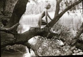 cca 1987 Akt felvételek negatívja különféle helyszíneken, 13 db vintage negatív, 6x6 cm