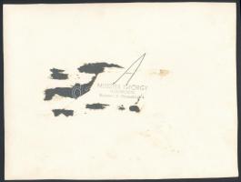 cca 1920-1940 Bálozók és elsőáldozók, 2 db csoportkép, hátuljukon pecséttel jelzettek, 17,5×23 cm