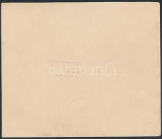 cca 1920-1940 Bálozók és elsőáldozók, 2 db csoportkép, hátuljukon pecséttel jelzettek, 17,5×23 cm