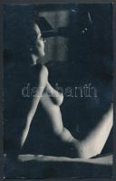 Akt félhomályban, erotikus fotólap, 14×9 cm