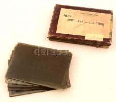 cca 1925 Rappensberger Andor m. kir. főerdőtanácsos hagyatékából 13 db vintage üveglemez negatív, a dobozon levő számozás és a negatívok számozása nem azonos, 10x15 cm
