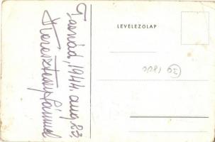 Tasnád, Országzászló, hátoldalán Keresztessy Sámuel festő aláírása / Hungarian national flag, statue...