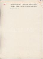 cca 1930 Nádújfalu, felvonulás a harangszentelés ünnepére, feliratozott vintage fotó Kerny István (1...