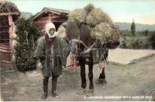 Japanese packhorse with bags of rice, folklore, Ellanbee Fine Art Series o. 137. (EK)