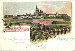 1899 Hradec Králové, general view, floral litho (EK)