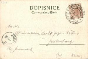 1899 Hradec Králové, general view, floral litho (EK)