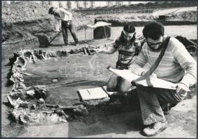 1976 Sátorhely, Tömegsírok feltárása az 1526-os mohácsi csata színhelyén, vintage fotó, 16,5x23,5 cm