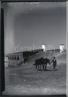 cca 1930 Kerny István (1879-1963) hortobágyi fényképei, a szerző hagyatékában őrzött 6 db vintage ne...