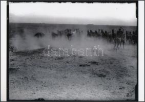 cca 1930 Kerny István (1879-1963) hortobágyi fényképei, a szerző hagyatékában őrzött 6 db vintage ne...