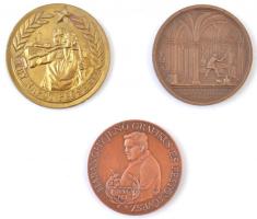 Bozó Gyula (1913-2004) 1994. "Haranghy Jenő születésének 100. évfordulójára" Br emlékérem (42,5mm) + DN "Egy napot Pécsért" aranyozott fém emlékérem (47mm) + ~1970. "Hungarokorr Pályázat Díj" Br emlékérem (45mm) T:BU-2 kis ph.