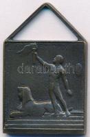 ~1910. "Kazinczy" páholy - Szabadkőműves Br plakett akasztóval (30x35mm) T:2-