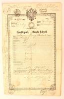 1850 Házaló útlevél rengeteg bejegyzéssel, pecséttel / Austrian Pedlar passport with many Austrian town seals