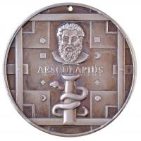 Litvánia DN "Aesculapius / Vilniaus Miesto Klinikiné Ligoniné" Vilnius város kórháza, fém ...