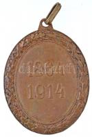 1914. "Vörös Kereszt Bronz Díszérme hadidíszítménnyel" aranyozott, zománcozott bronz kitün...