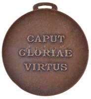 ~1910. "Nicolas de Genere Huba 1903 / Caput Gloriae Virtus (Legfőbb dicsőség a vitézség)" ...