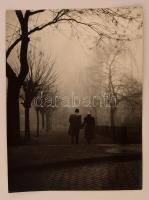 cca 1960 Dezső Pál: Ősz, feliratozott vintage fotóművészeti alkotás, kiállítási emlékpecsétekkel, 39x29 cm