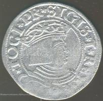 Lengyelország/Danzig 1534. 1Gr Ag I.Zsigmond T:3