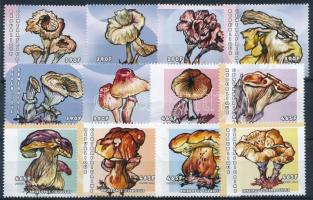 Gomba sor, Mushroom set