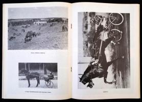 Az ügetőpálya 40 éve. Szerk.: Fehér Dezső. [Bp.], [1973], Magyar Lóverseny Vállalat. Tűzött papírköt...