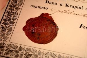 1850 Horvát és német útelvél / 1850 Passport in Croatian and German 50x42 cm