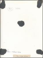 Tác, római villa maradványai, jelzetlen fotó, feliratozva, 16x21 cm