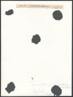 Fertőd, Esterházy-kastély, 2 db fotó, hátoldalon feliratozva, 22x16 cm