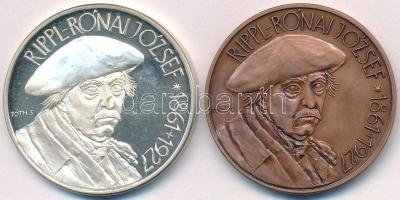 Tóth Sándor (1933-) / Szabó Géza (1939-) 1993. "MÉE XXIII. Vándorgyűlése Kaposvár / Rippl-Rónai...