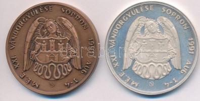 Renner Kálmán (1927-1994) 1991. "MÉE Sopron XXI. Vándorgyűlés / Gróf Széchenyi István" Ag ...