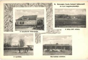 Szákul, Sacu; K. Koronghy Gyula fajbaromfi és nyúl nagytenyészdéje, főbejárat, nyúlház, baromfiak etetése / poultry and rabbit breeding farm, rabbit house, feeding the poultry, Art Nouveau