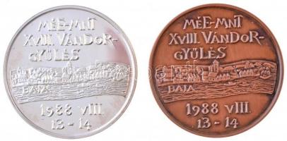 Lantos Györgyi (1953-) 1988. "MÉE XVIII. Vándorgyűlés - Baja / Türr István" Ag és Br emlék...