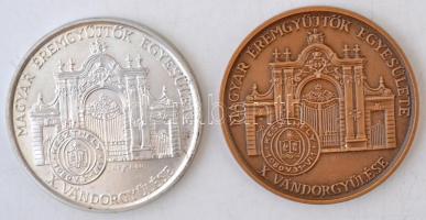 Képíró Zoltán (1944-1981) 1980. "MÉE X. Vándorgyűlése - Keszthely / Goldmark Károly" Ag és...